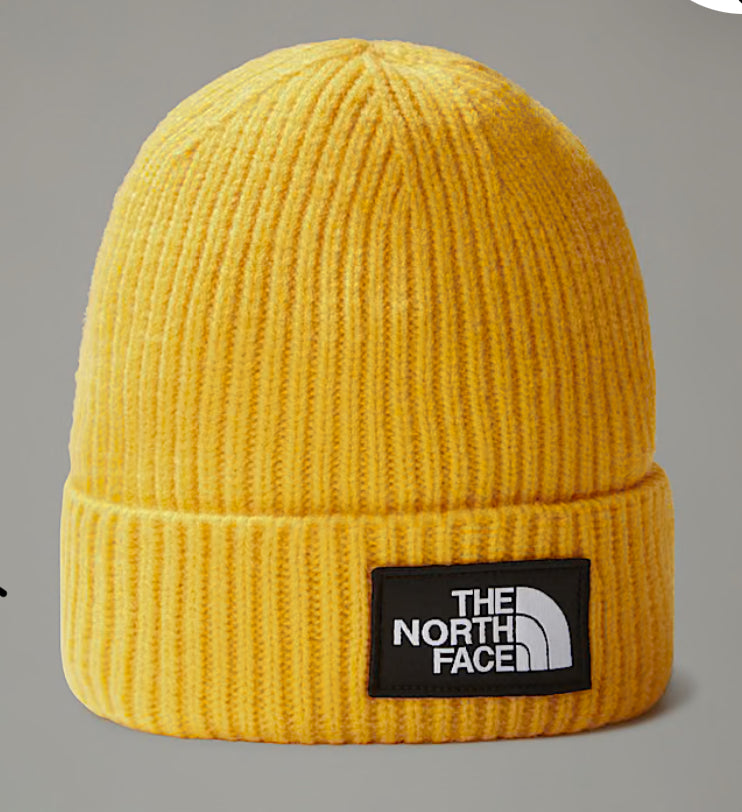 The North Face Beanie Knitted Hat - Red